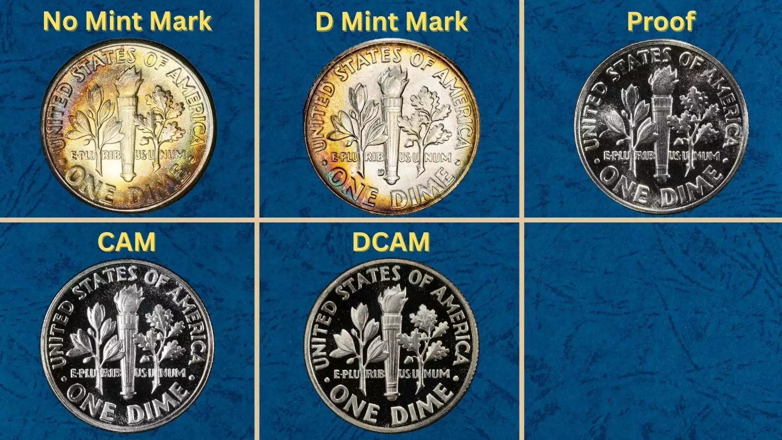 Group of 1956 Roosevelt dimes showing Philadelphia and Denver mint examples in various grades